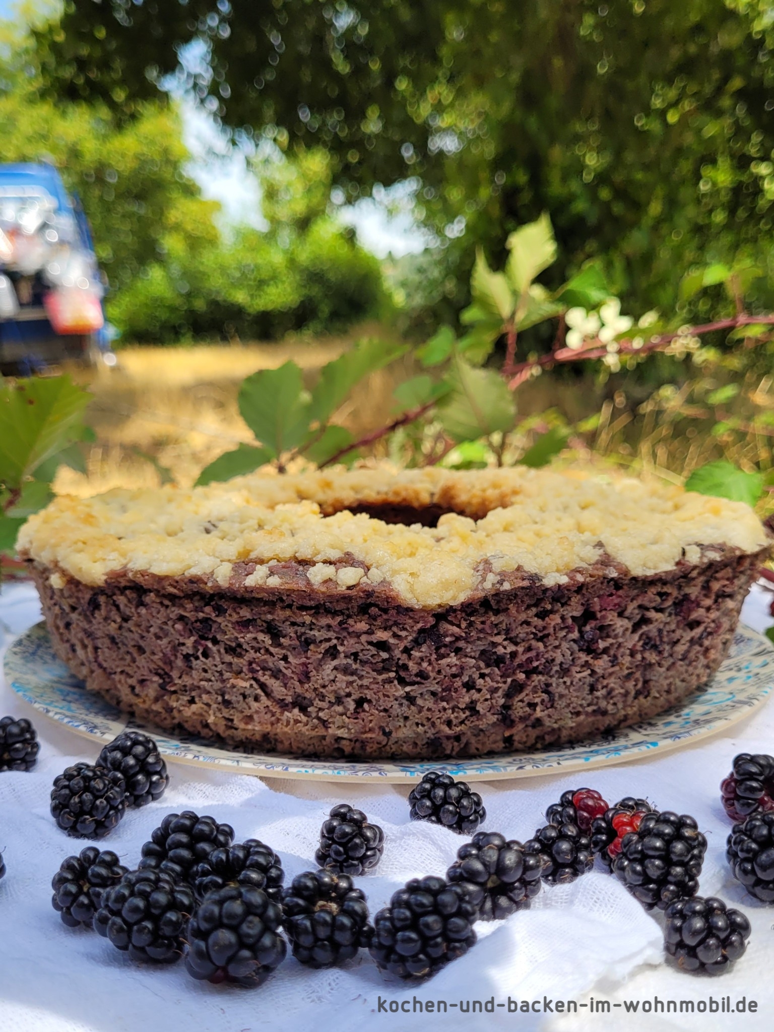 Brombeerkuchen mit Streusel aus dem OMNIA Backofen kochen-und-backen-im ...