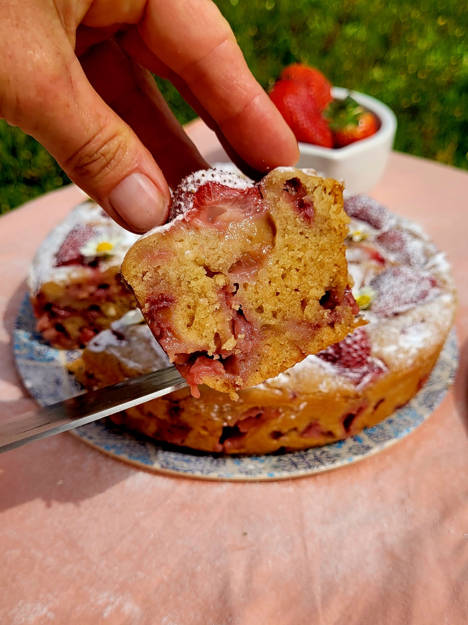 Saftiger Erdbeerkuchen als Rührkuchen › kochen-und-backen-im-wohnmobil.de